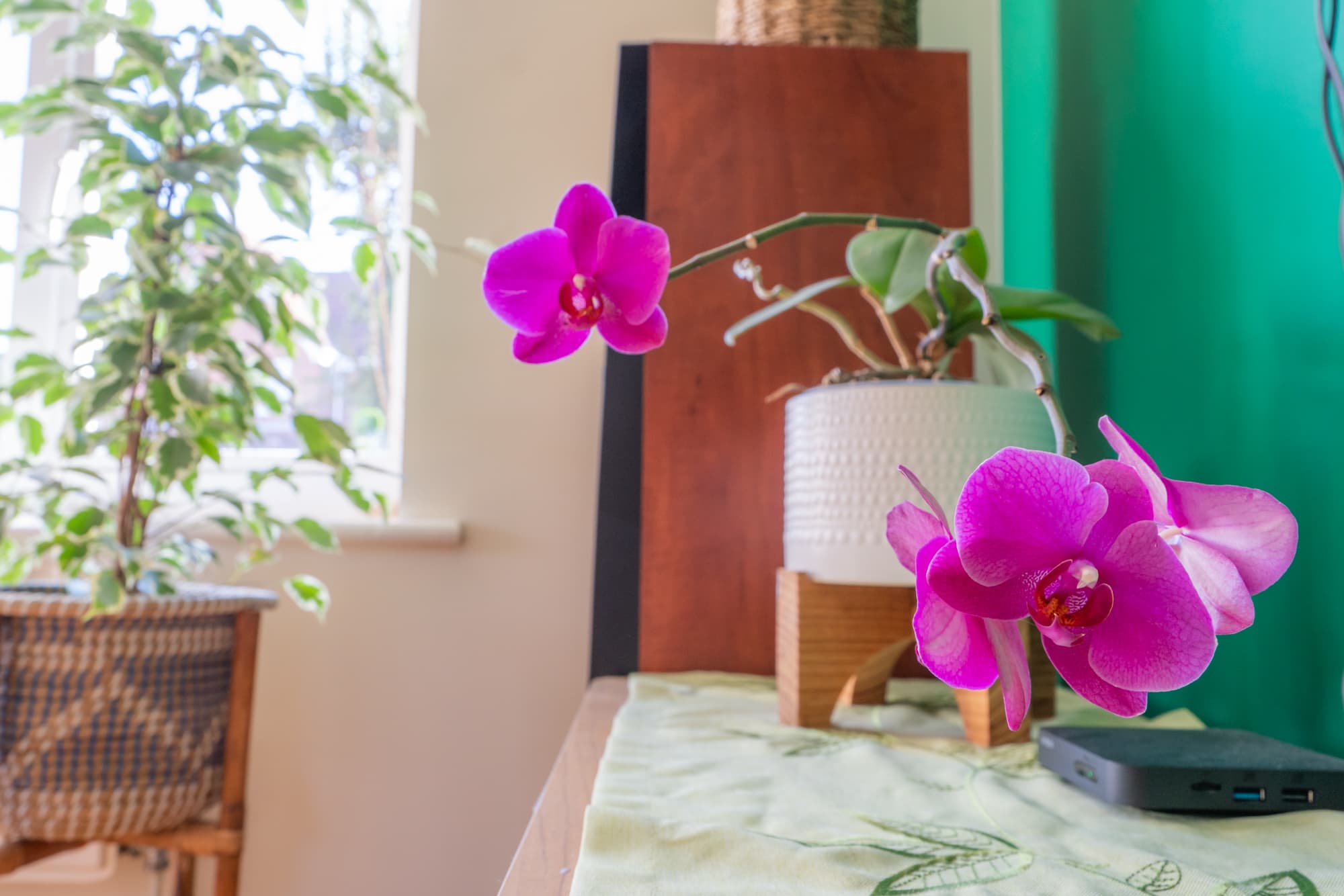 Grays occupied home staging consultation